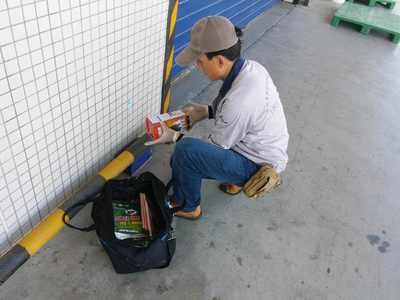 食品廠老鼠防治方案，早用早省心 清潔服務(wù)助您無憂經(jīng)營